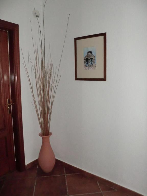 Varandas De Alter Hotel & Spa Alter do Chão المظهر الخارجي الصورة