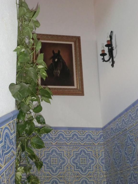 Varandas De Alter Hotel & Spa Alter do Chão المظهر الخارجي الصورة