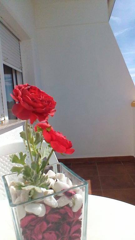 Varandas De Alter Hotel & Spa Alter do Chão المظهر الخارجي الصورة