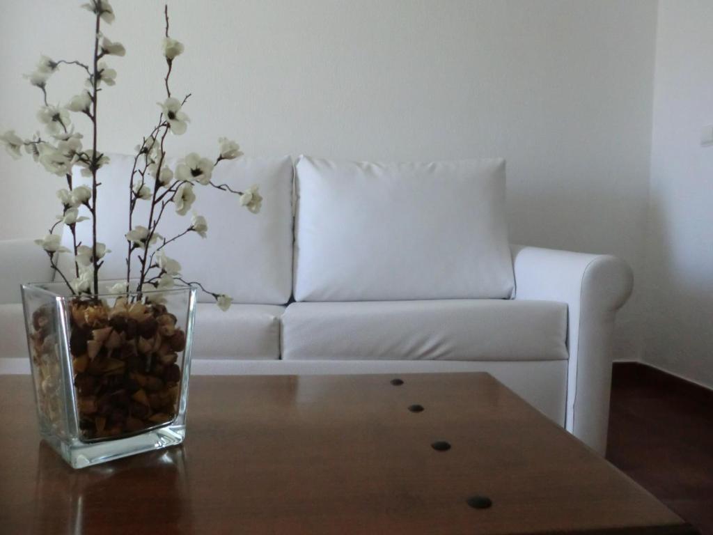 Varandas De Alter Hotel & Spa Alter do Chão الغرفة الصورة
